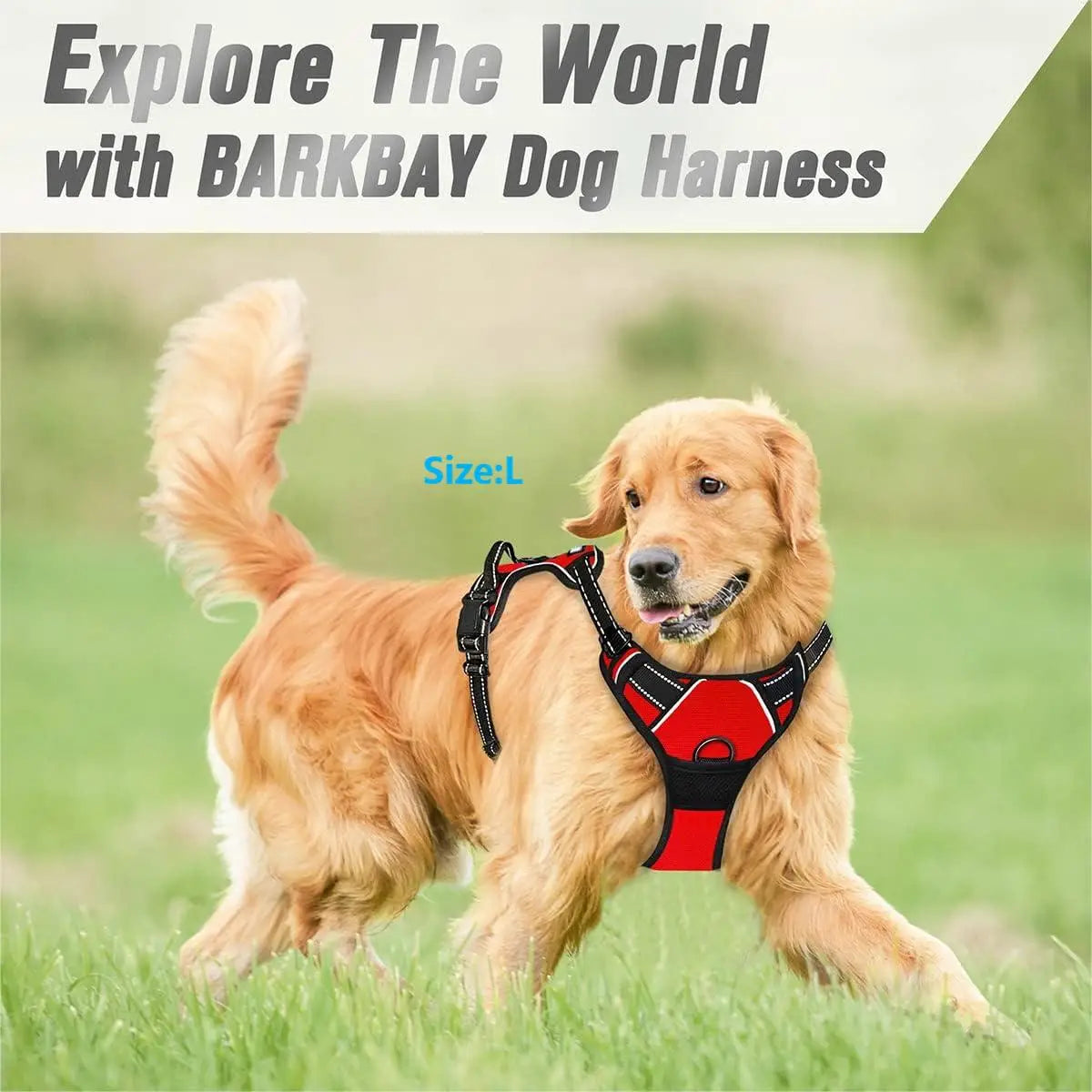 Heavy Duty No-Pull Dog Harness with Handle – Reflective, Front-Clip, Padded & Adjustable for Medium to Large Dogs
